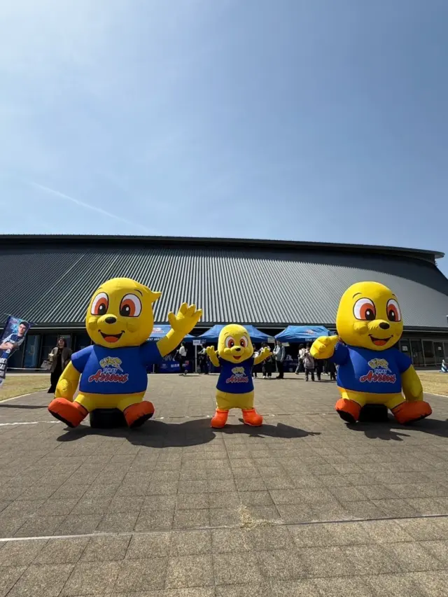 東レアローズ　エア看板　画像