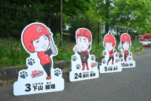 イラストでキャッチーさ倍増⁉トヨタ自動車女子ソフトボール部様×等身大パネル・人型パネル