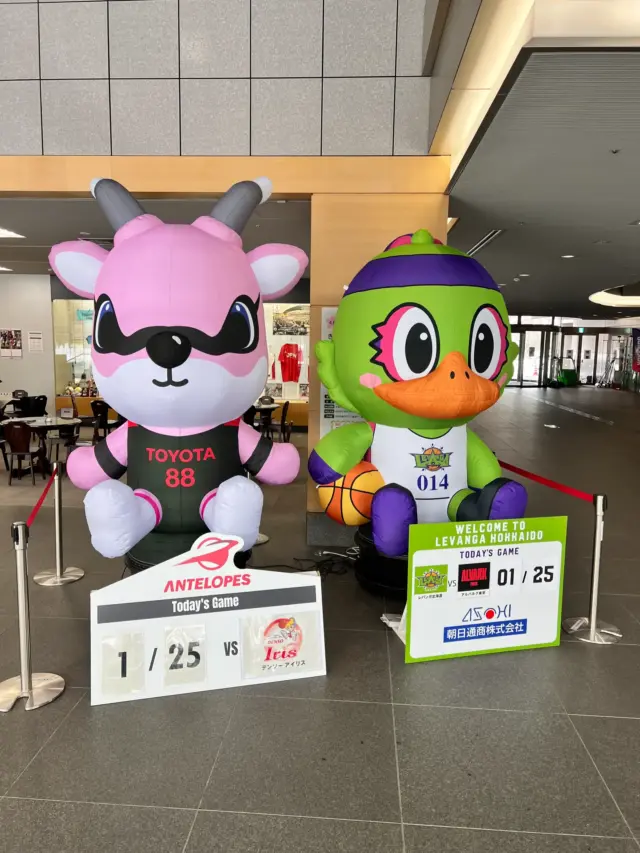 アンテロープス　バスケットボール　会場装飾