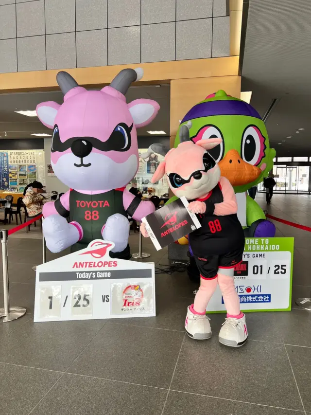 アンテロープス　バスケットボール　会場装飾